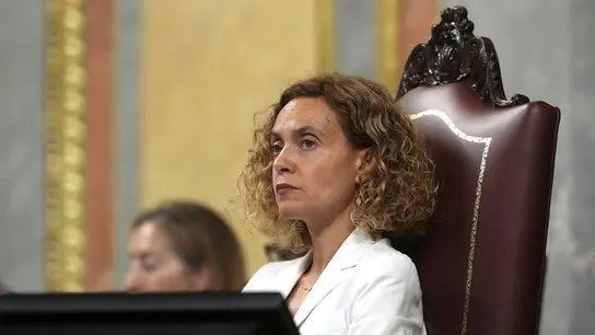 La presidenta del Congreso, Meritxell Batet (PSOE) La presidenta del Congreso, Meritxell Batet (PSOE)