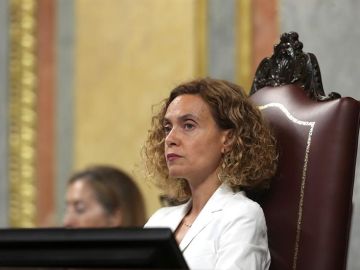 La presidenta del Congreso, Meritxell Batet (PSOE) La presidenta del Congreso, Meritxell Batet (PSOE)
