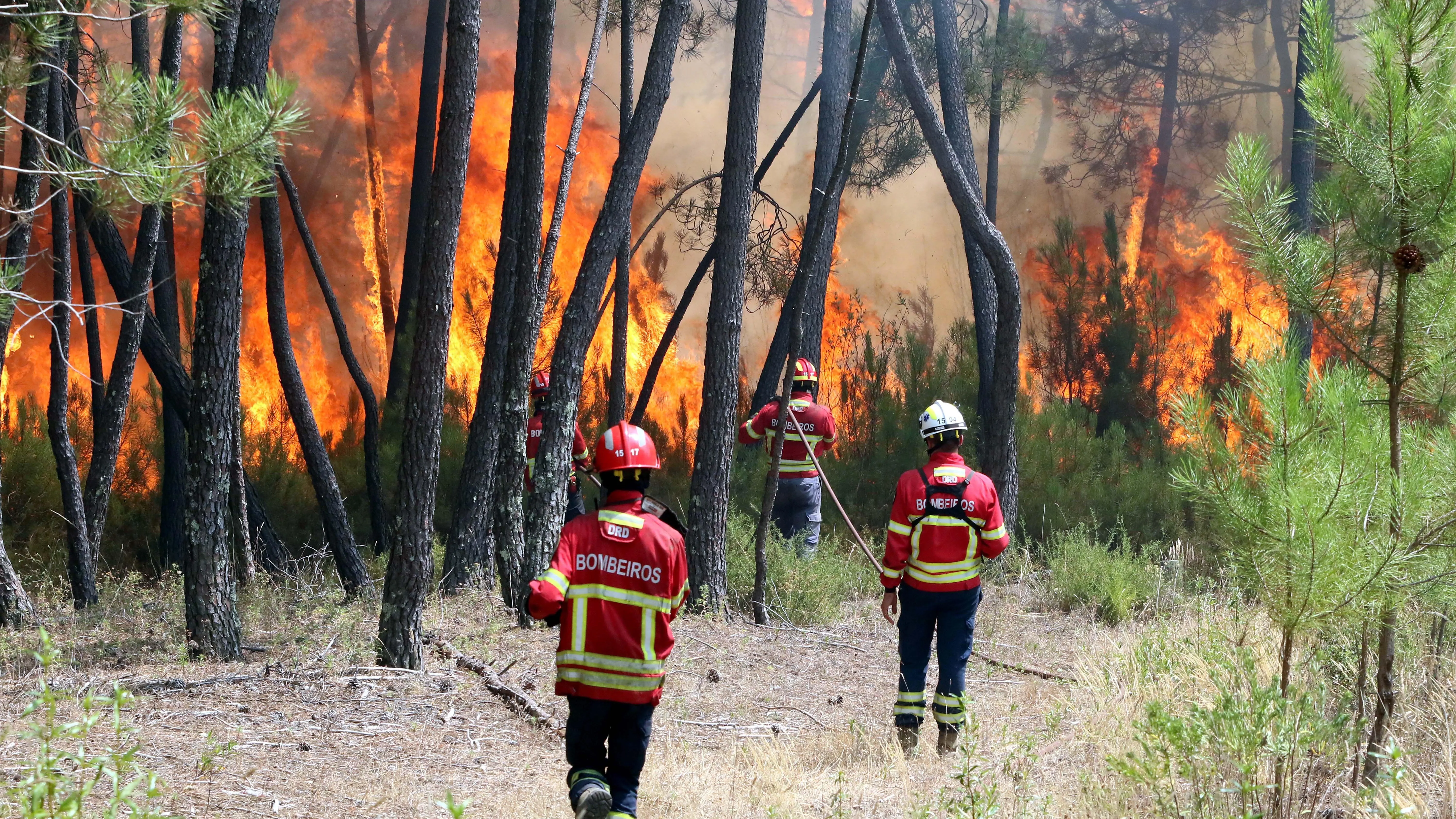 Bomberos combaten un incendio forestal en Casais de Sao Bento