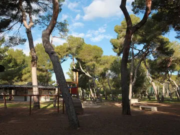 Parque del Pinar Parque del Pinar