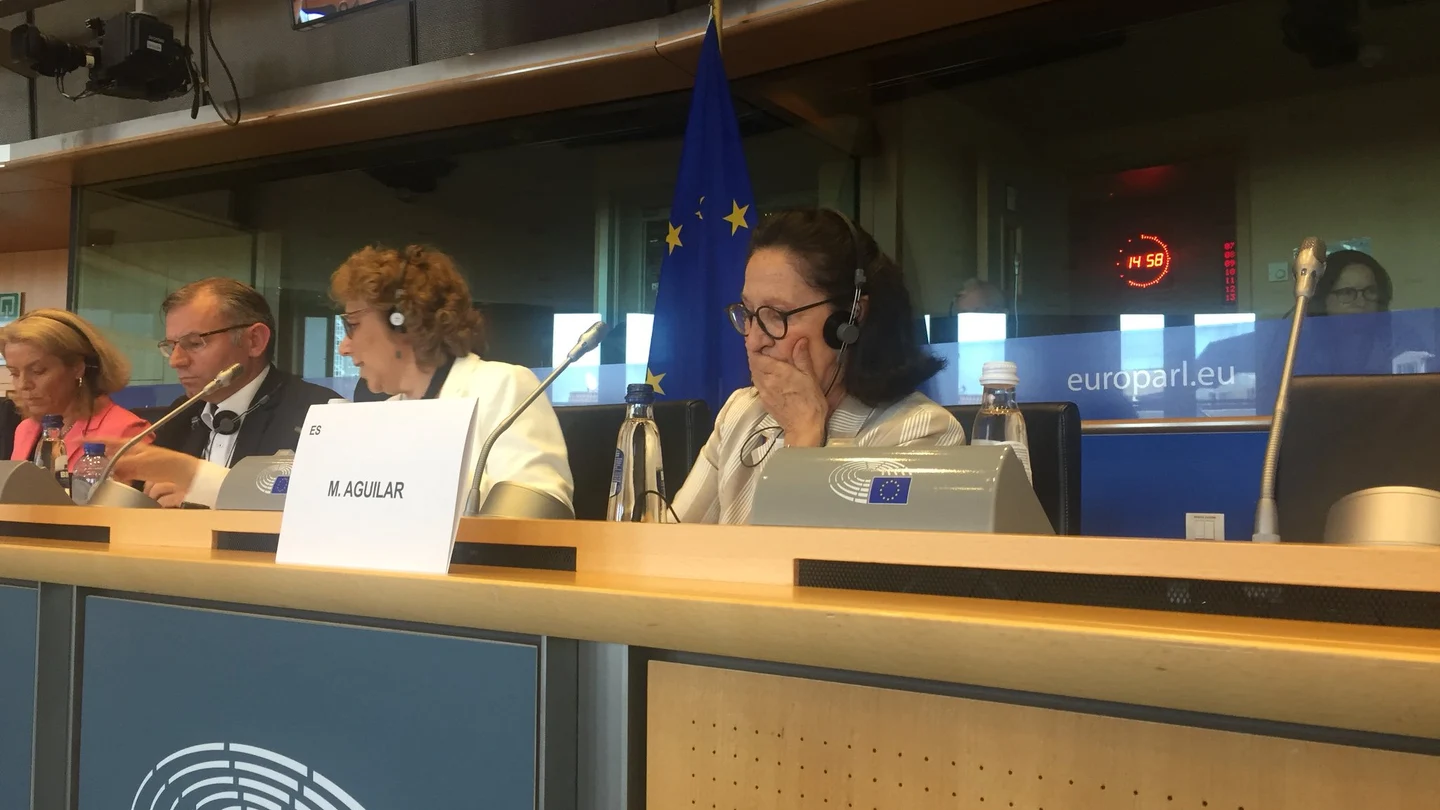 La eurodiputada de Vox Mazaly Aguilar. La eurodiputada de Vox Mazaly Aguilar.