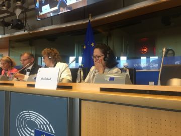 La eurodiputada de Vox Mazaly Aguilar. La eurodiputada de Vox Mazaly Aguilar.