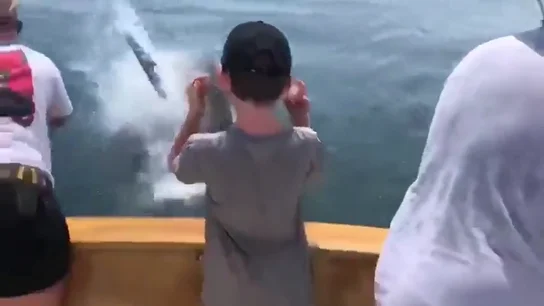 El estremecedor encuentro entre un tiburón blanco y una familia que pescaba El estremecedor encuentro entre un tiburón blanco y una familia que pescaba