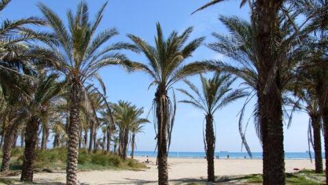 Playa del Pinar