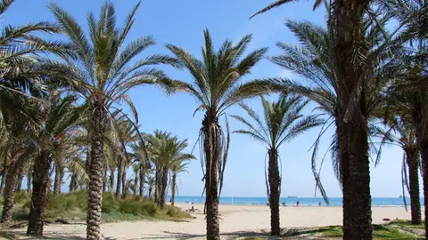 Playa del Pinar Playa del Pinar