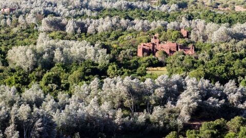 Valle del Draa