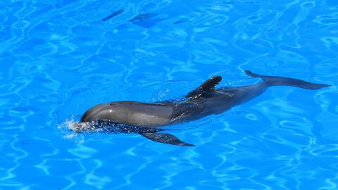 Siam Park, Adeje, Tenerife