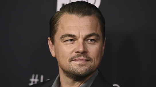 Leonardo DiCaprio Leonardo DiCaprio