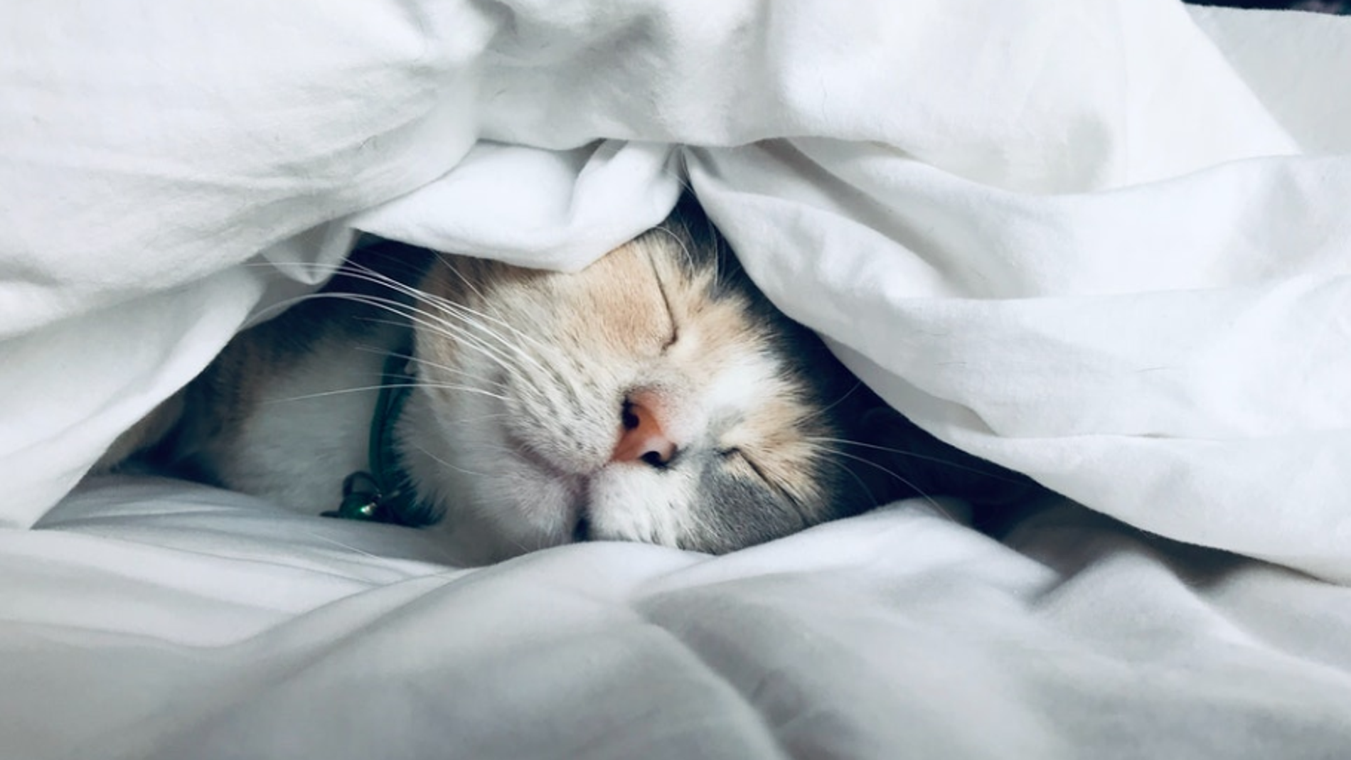 Cuidado con las siestas largas