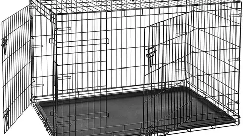 Jaula Lifelong Jaula Lifelong