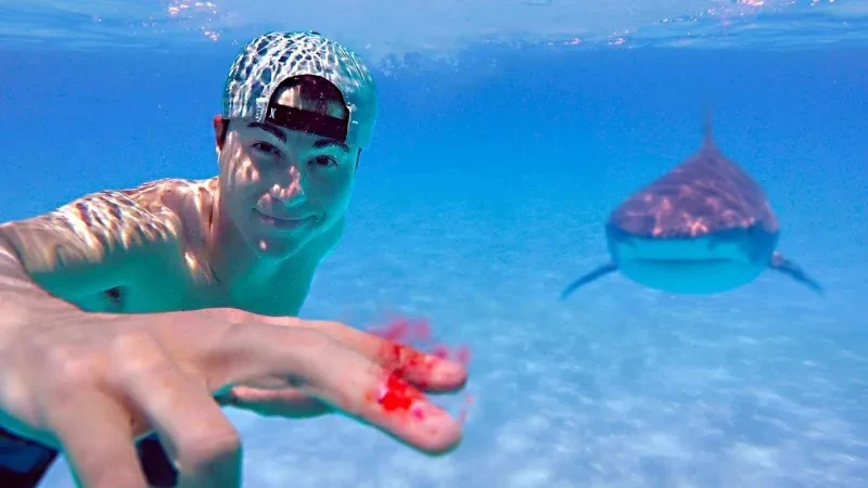 La prueba de un youtuber con tiburones