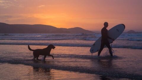 Playas caninas
