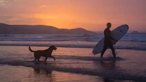 Playas caninas Playas caninas