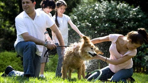Familia con perro