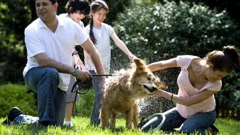 Familia con perro Familia con perro