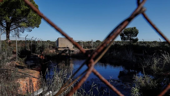 Balsa de riego ilegal construida cerca de algunos de los 77 pozos de Lucena del Puerto. Balsa de riego ilegal construida cerca de algunos de los 77 pozos de Lucena del Puerto.