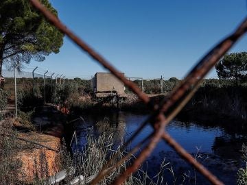Balsa de riego ilegal construida cerca de algunos de los 77 pozos de Lucena del Puerto. Balsa de riego ilegal construida cerca de algunos de los 77 pozos de Lucena del Puerto.