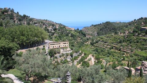 Tramontana