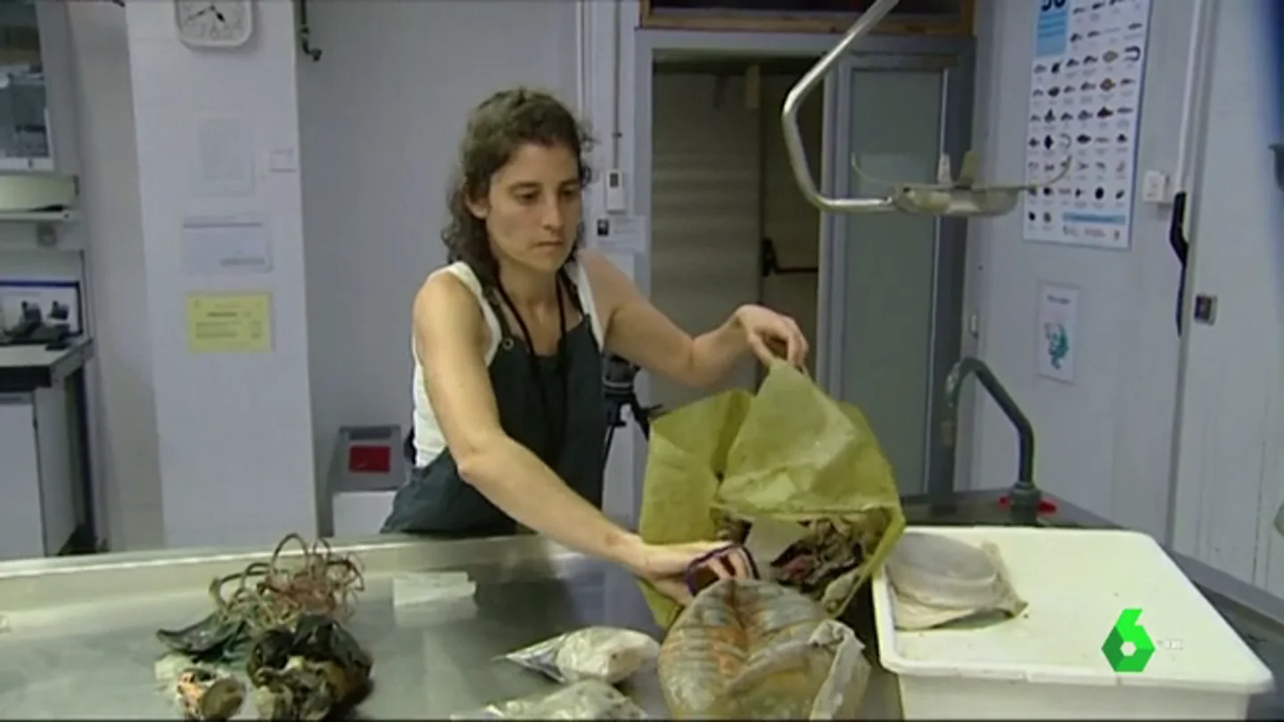 Científica sacando basura del fondo del mar Científica sacando basura del fondo del mar