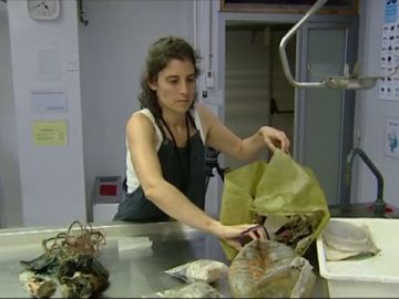 Científica sacando basura del fondo del mar Científica sacando basura del fondo del mar