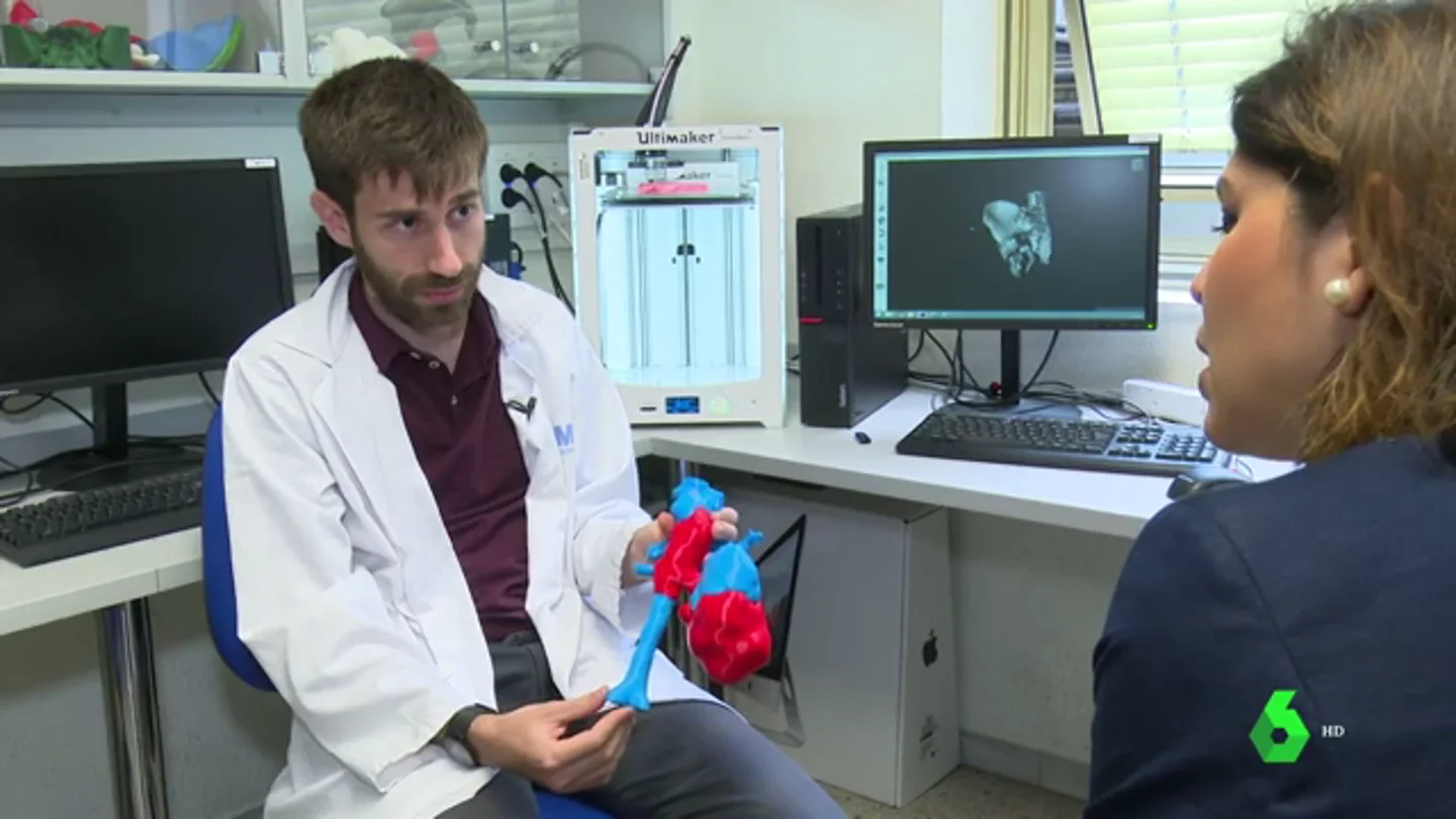 Órganos en 3D Órganos en 3D