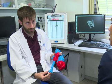 Órganos en 3D Órganos en 3D