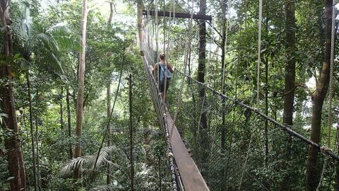 Taman Negara