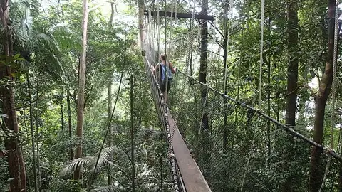 Taman Negara Taman Negara
