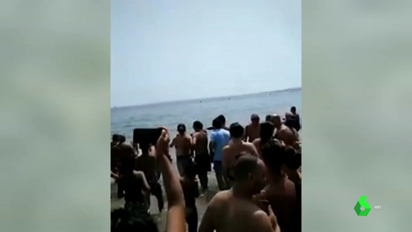 Un pez espada irrumpe en la playa de la Albufereta en Alicante Un pez espada irrumpe en la playa de la Albufereta en Alicante