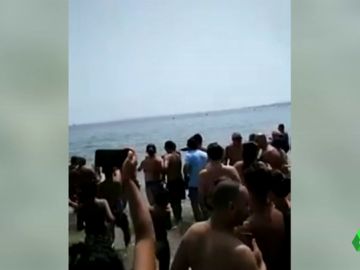 Un pez espada irrumpe en la playa de la Albufereta en Alicante Un pez espada irrumpe en la playa de la Albufereta en Alicante
