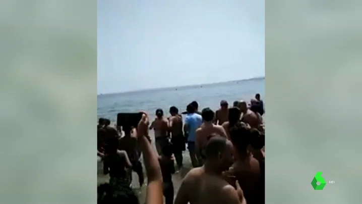 Un pez espada irrumpe en la playa de la Albufereta en Alicante