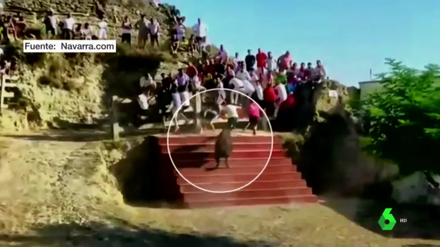 Un joven cae de cabeza desde una grada tras ser embestido por una vaquilla en el Estrecho de Arguedas (Navarra) Un joven cae de cabeza desde una grada tras ser embestido por una vaquilla en el Estrecho de Arguedas (Navarra)