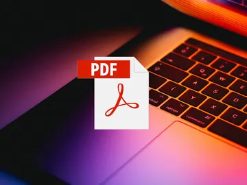 Leer PDF Leer PDF