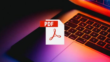 Leer PDF