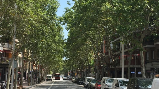 Nou Barris, el distrito de Barcelona donde sucedieron los hechos. Nou Barris, el distrito de Barcelona donde sucedieron los hechos.