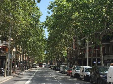 Nou Barris, el distrito de Barcelona donde sucedieron los hechos. Nou Barris, el distrito de Barcelona donde sucedieron los hechos.