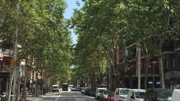 Nou Barris, el distrito de Barcelona donde sucedieron los hechos.