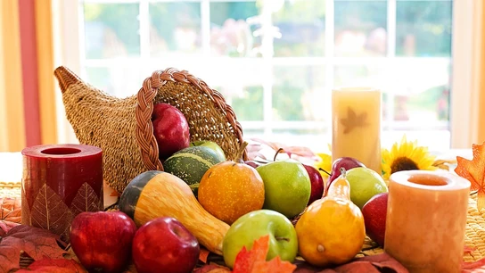 Cornucopia Cornucopia