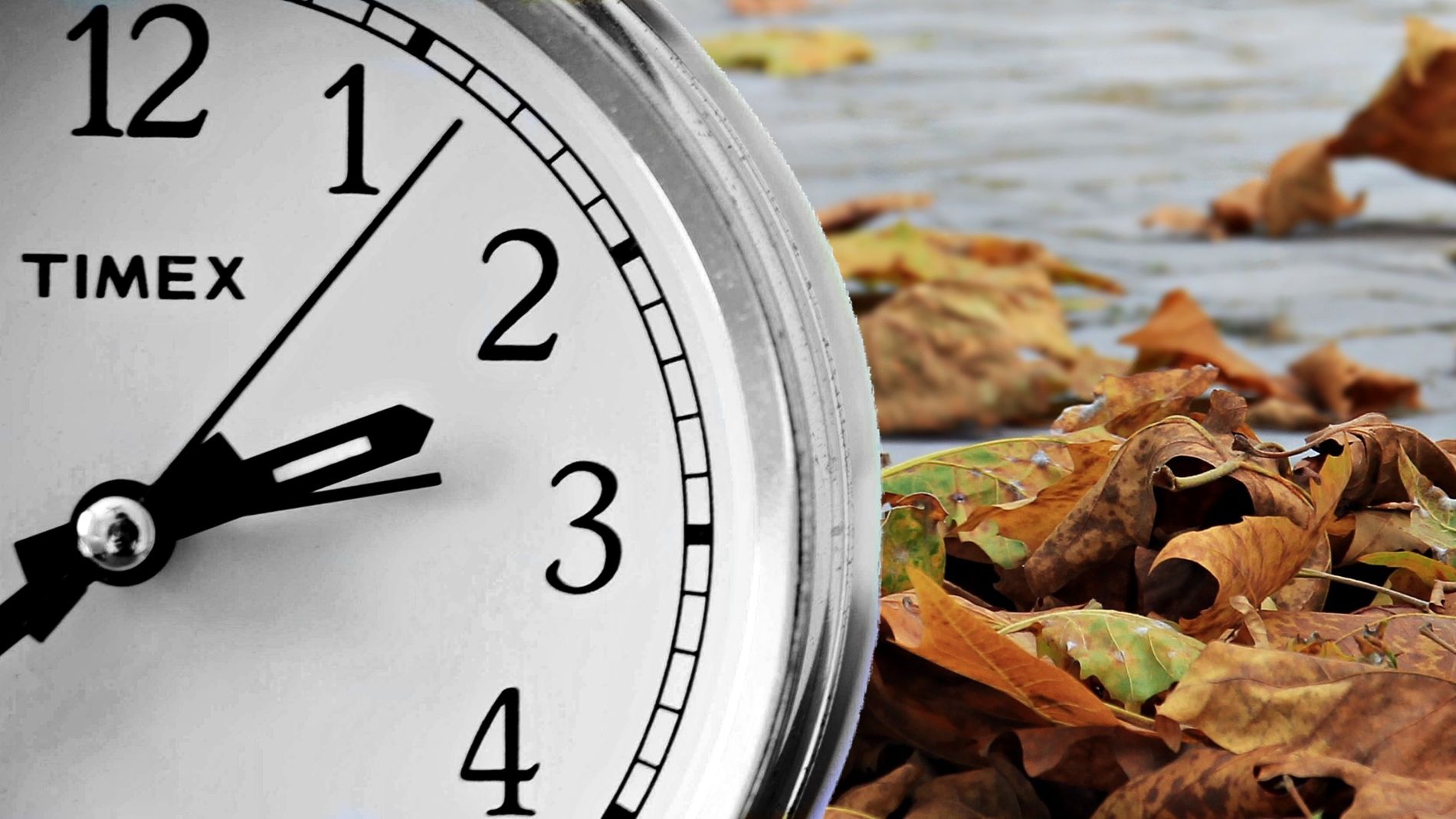 Hora de invierno 2019 store