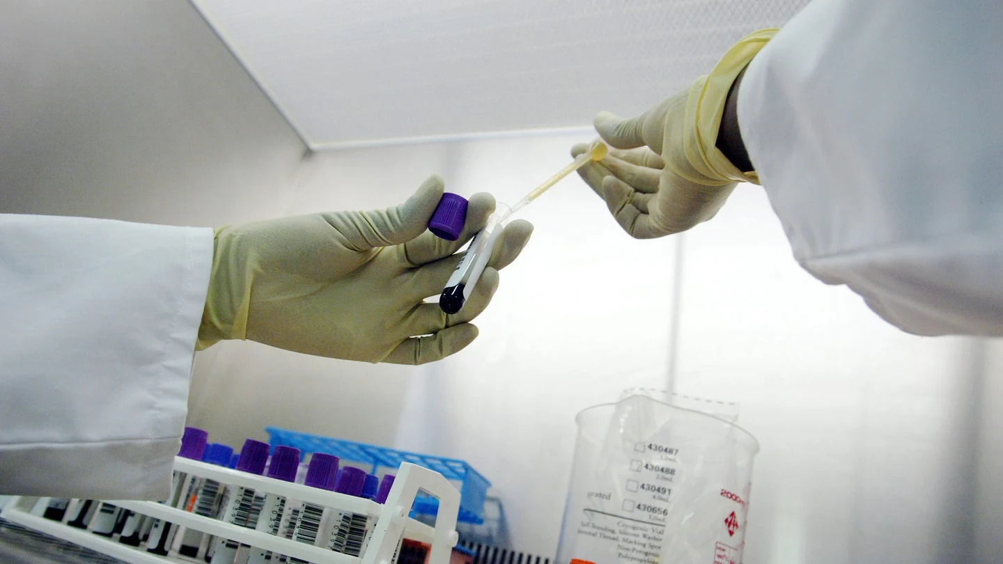 Análisis de sangre Análisis de sangre