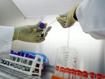 Análisis de sangre Análisis de sangre