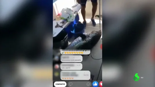 Pescan un atún rojo de forma ilegal porque se encuentra en época de veda Pescan un atún rojo de forma ilegal porque se encuentra en época de veda