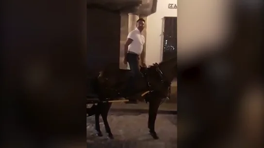 Indignación por el trato de un cochero a su caballo exhausto y ensangrentado en Sevilla Indignación por el trato de un cochero a su caballo exhausto y ensangrentado en Sevilla