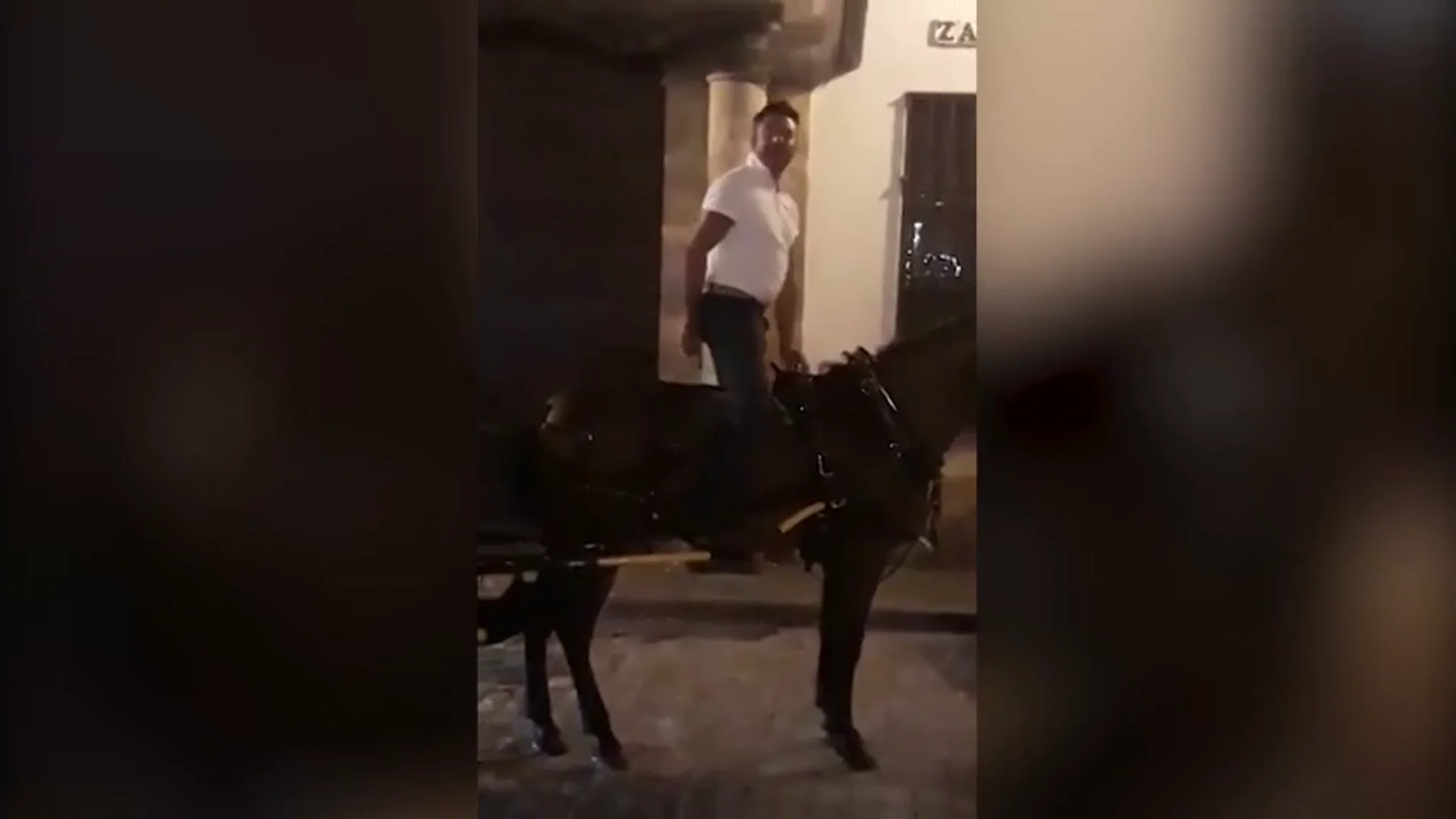 Indignación por el trato de un cochero a su caballo exhausto y ensangrentado en Sevilla