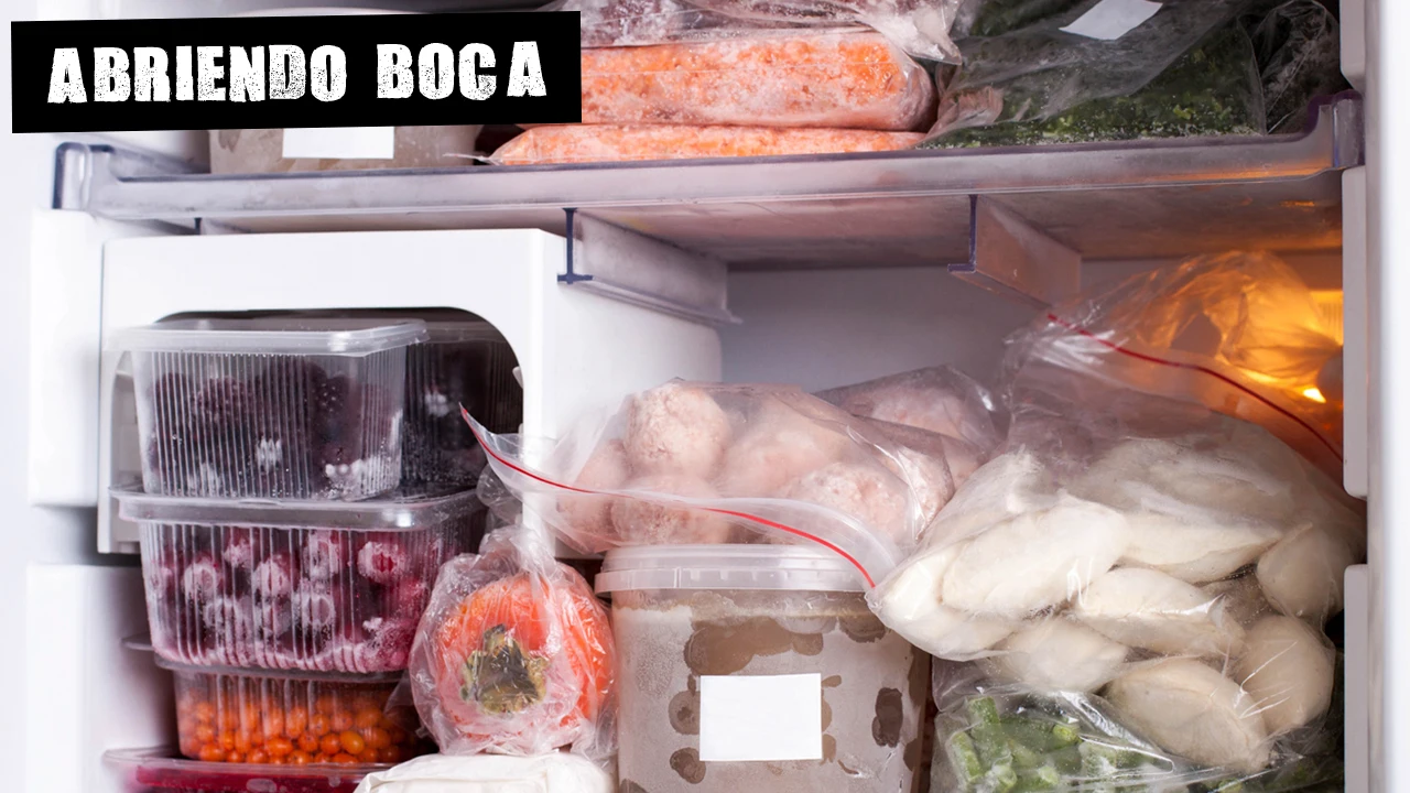 Cuánto aguanta la comida en el congelador?