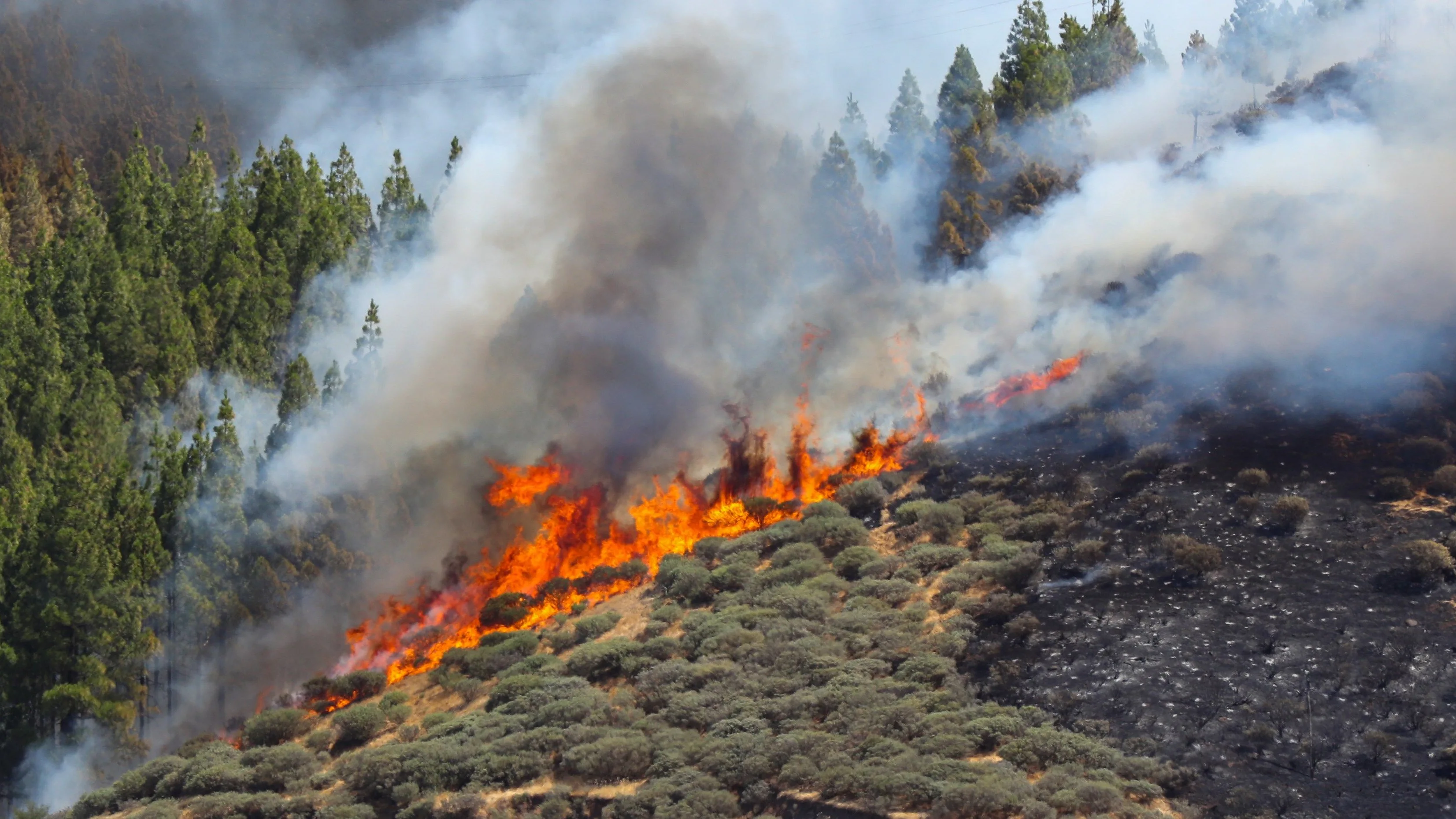 Vista del incendio declarado en la zona de Artenara