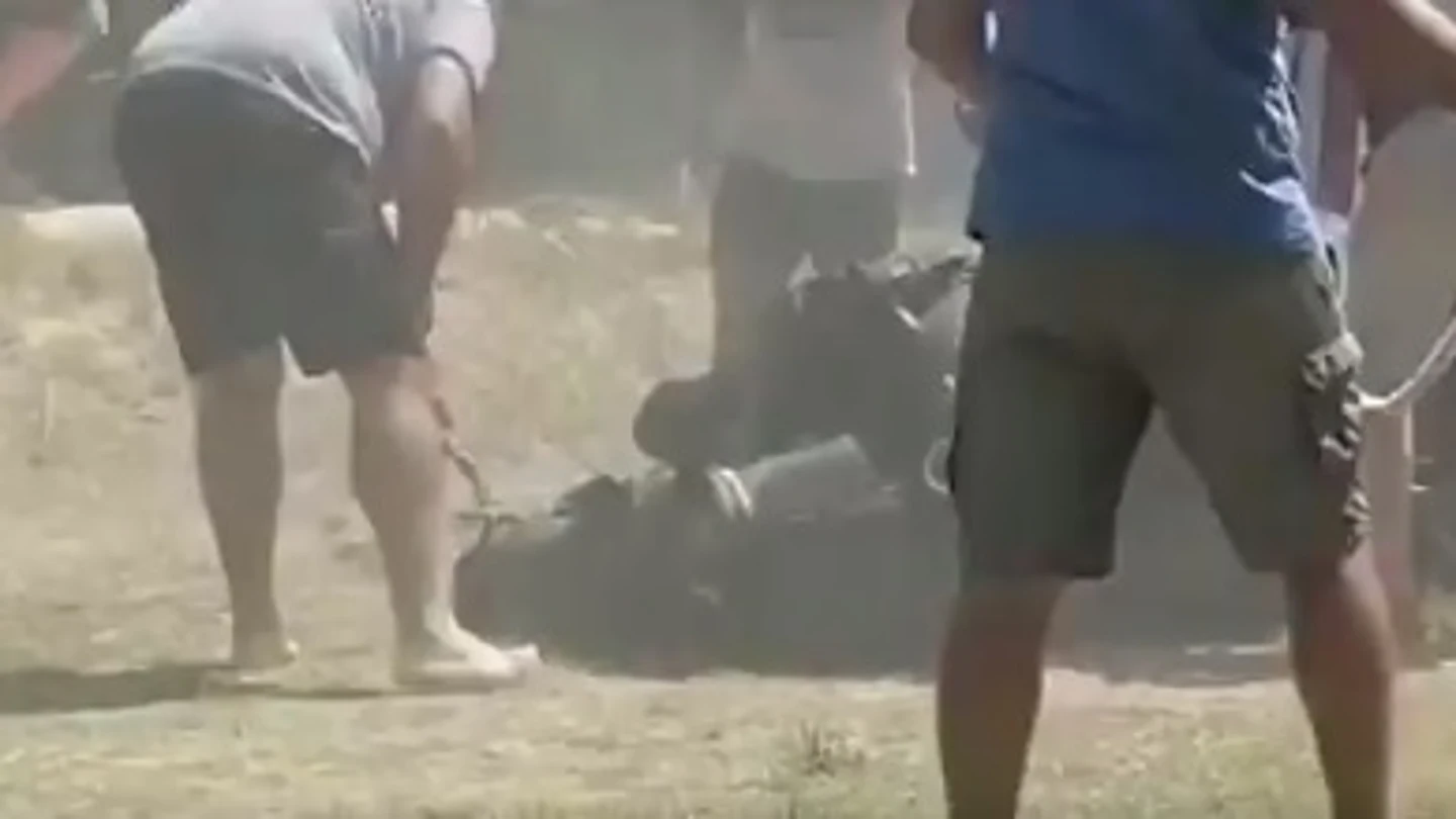 Imagen del vídeo denuncia en el momento en el que el caballo se desploma Imagen del vídeo denuncia en el momento en el que el caballo se desploma