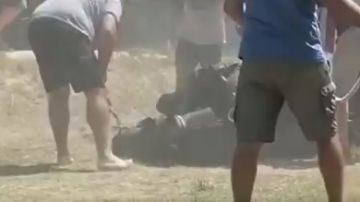 Imagen del vídeo denuncia en el momento en el que el caballo se desploma