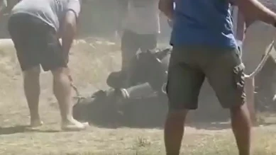 Imagen del vídeo denuncia en el momento en el que el caballo se desploma