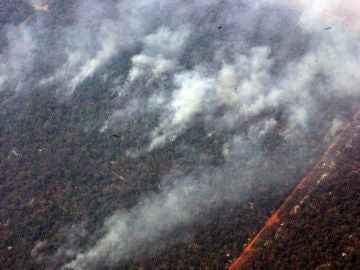 Imagen de un incendio en el Amazonas Imagen de un incendio en el Amazonas